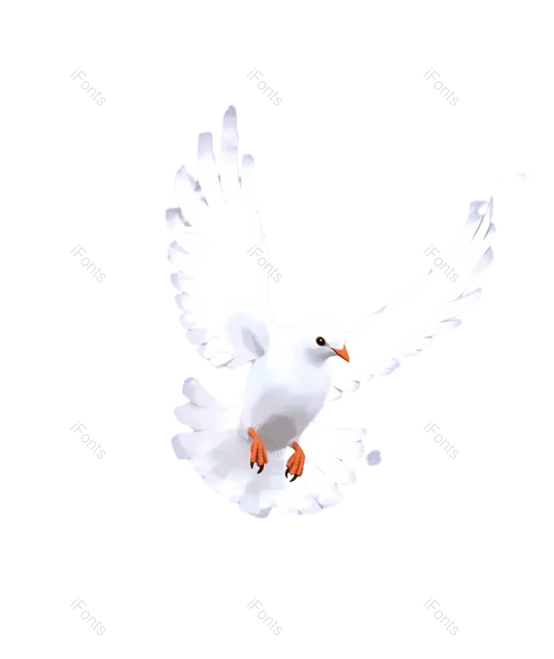 节日图片,鸽子元素,天空PNG,户外免抠素材